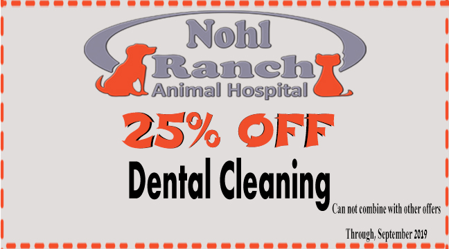 Print this coupon