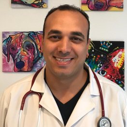 Nohl Animal Hospital in Orange | Dr. George Louka | Veterinary