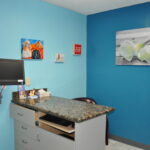 Nohl Ranch Animal Hospital in Orange, CA | Examination room