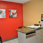 Nohl Animal Hospital in Orange, CA | Examination room