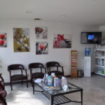 Nohl Ranch Animal Hospital in Orange, CA | Reception