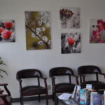 Nohl Ranch Animal Hospital in Orange, CA | Reception