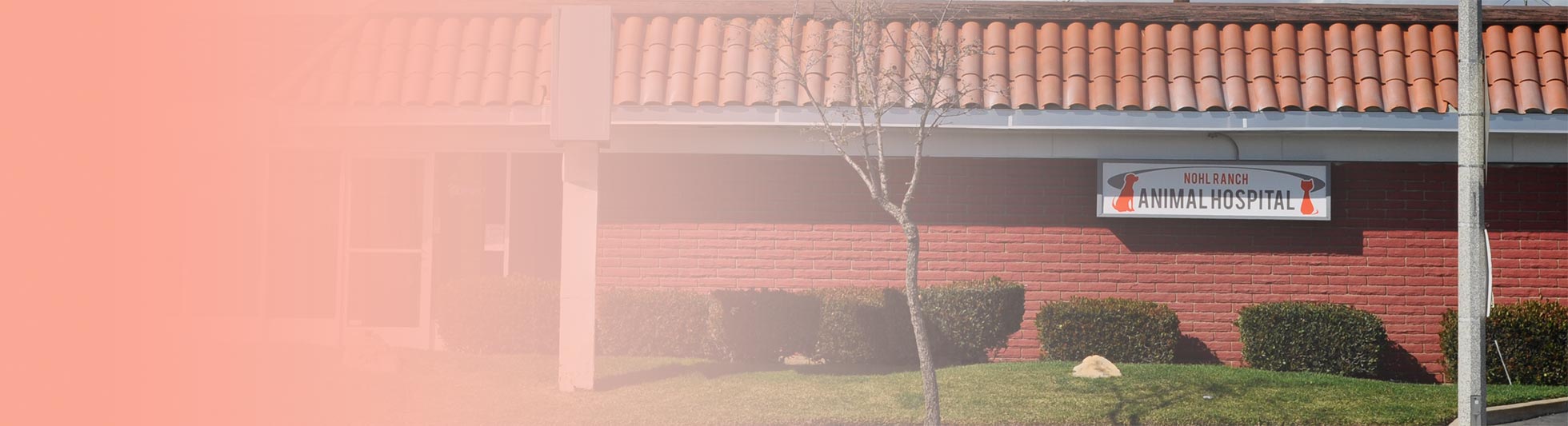 Nohl Ranch Animal Hospital in Orange, CA | front entrance