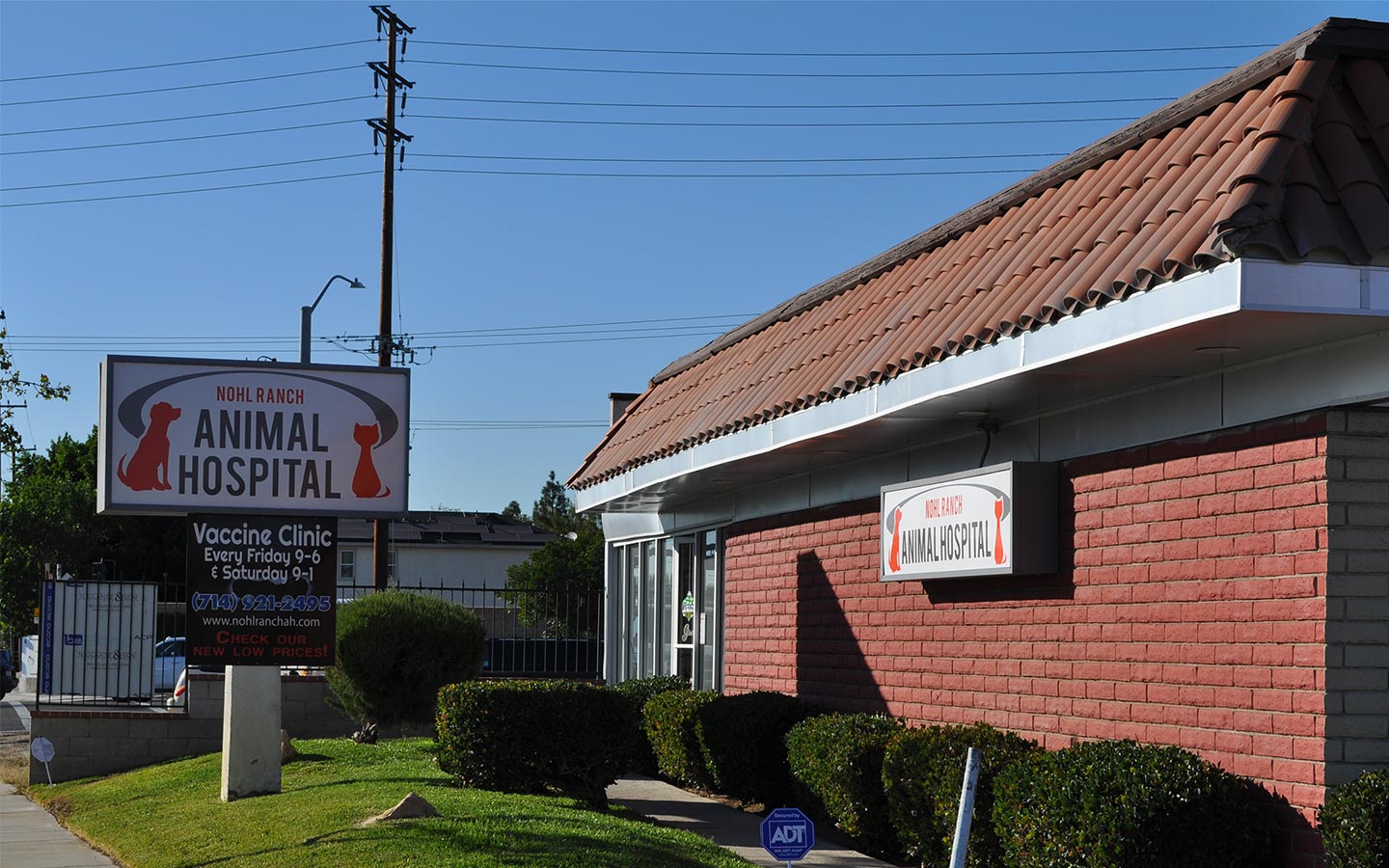 Nohl Ranch Animal Hospital | Best pet clinic in Orange, CA