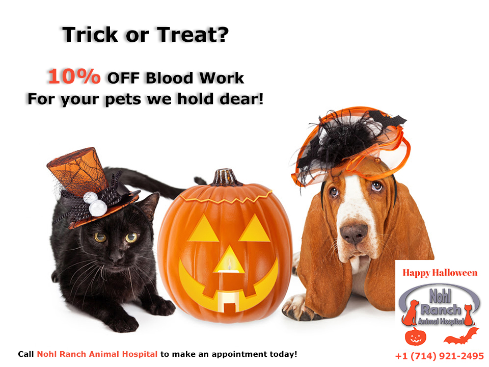 10% Off Blood Work | Have no fear, no tricks here!